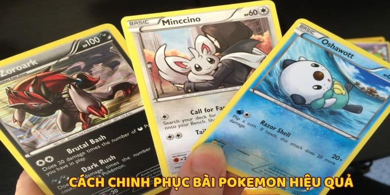 Từng bước cơ bản chinh phục cách chơi bài pokemon từ A-Z